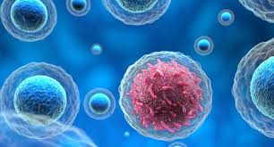 Cancer Care / Oncology